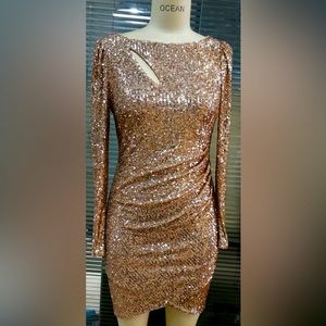 Le Chateau | Rose Gold Sequin Boat Neck Dress